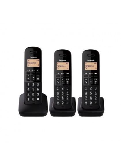 Telfono Inalmbrico PANASONIC KX-TGB613SPB