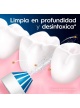 Cepillo Dental ORAL-B PRO1BOI